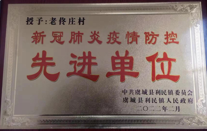 河南省虞城县利民镇老佟庄村最美支部书记-王森-图片4
