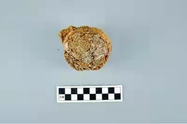 世界上最早茶叶出土,将中国茶事推进了三百年,茶文化就是讲究-图片1