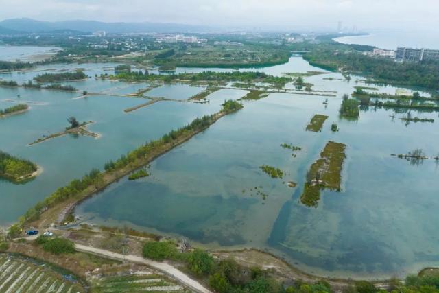 保乐力加“海南时间”:中国市场布局升级,更有“新版图”发布-图片5