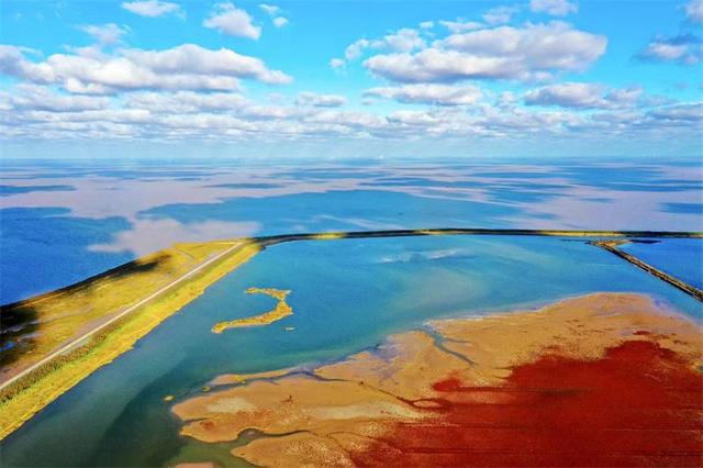 走进盐城黄海湿地,体验生物多样性之美-图片5