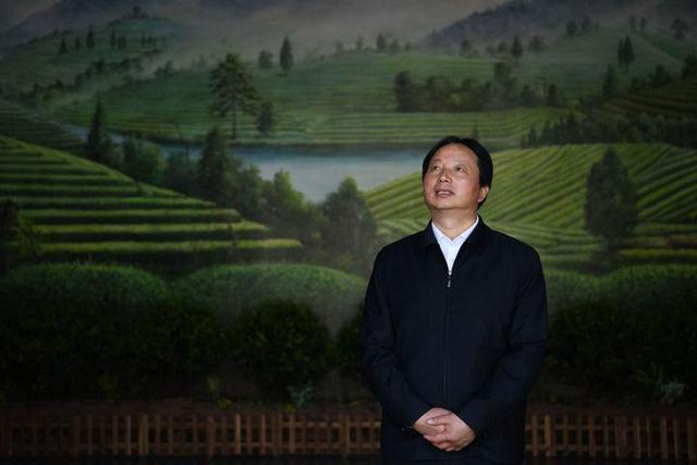 全球连线丨匠心记:祁门红茶 祁红特绝群芳最-图片17