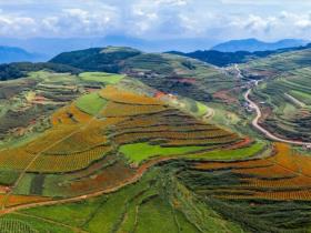 又有文旅局长“出圈” 她骑着摩托车来了