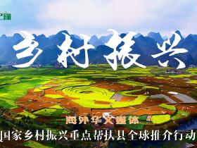 海外华文媒体国家乡村振兴重点帮扶县全球推介行动正式启航